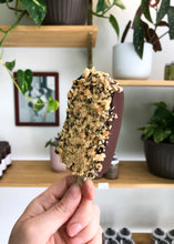 Load image into Gallery viewer, Peanut Buster Ice Cream Bar
