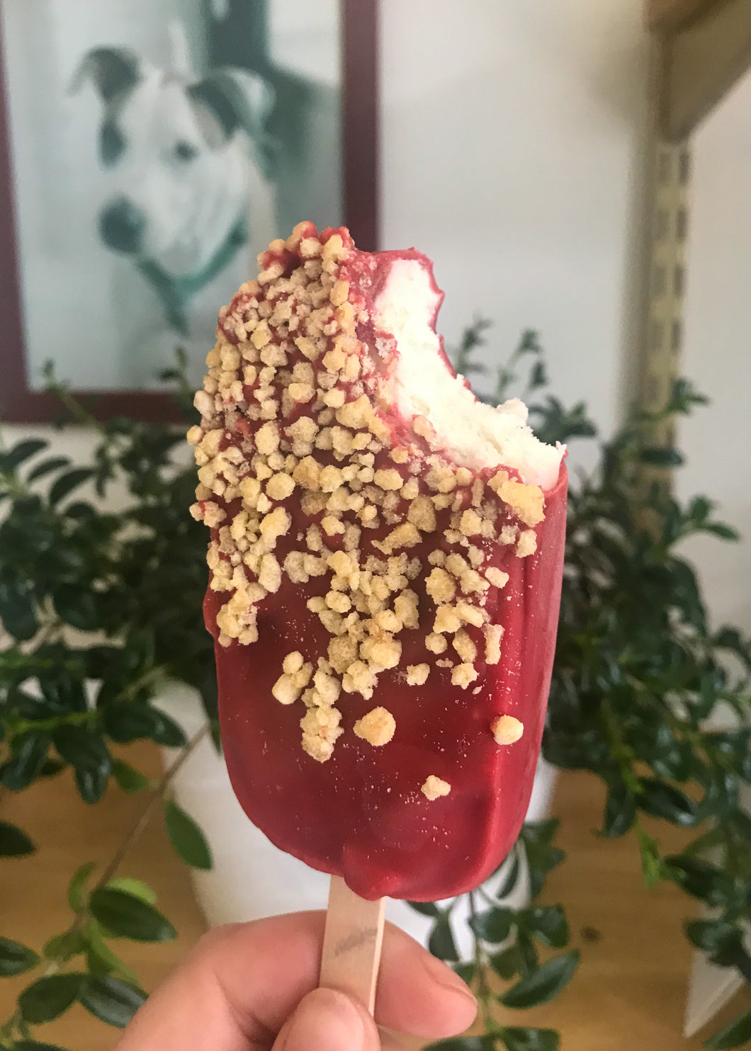 Strawberry & Yogurt Crunch Ice Cream Bar